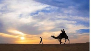 Camel Safari Deoki Niwas