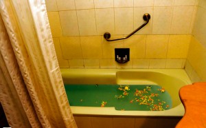 Room with Bathtub
