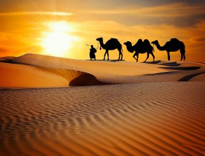 #tuktuktoursjaisalmer (4)